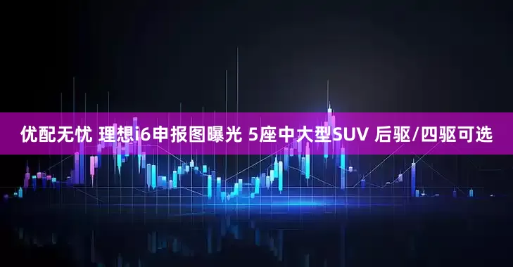 优配无忧 理想i6申报图曝光 5座中大型SUV 后驱/四驱可选